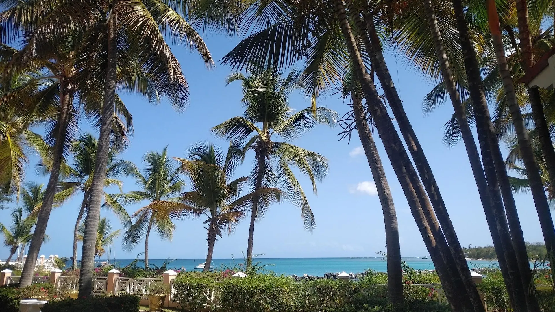 Coco Reef Resort & Spa Crown Point
